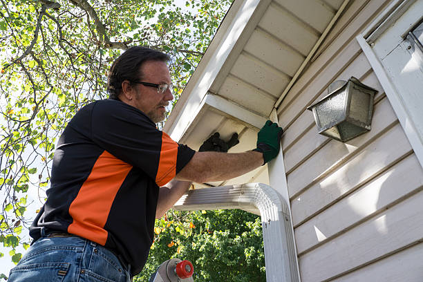 Best Stone Veneer Siding  in Montello, WI